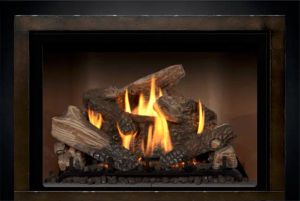 FV44i Traditional Gas Insert — photo 5