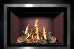 FV44i FireIn™ Gas Insert — photo 5