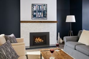 Atmosphere® Gi29LE Gas Insert