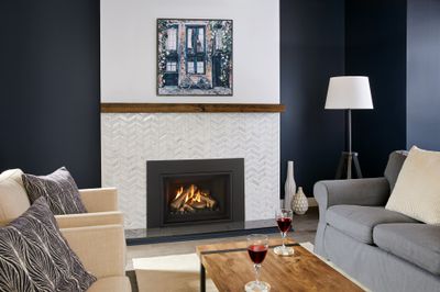 Atmosphere® Gi29LE Gas Insert