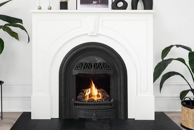 Portrait Gas Insert — view 2