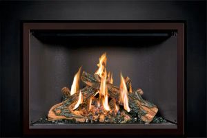 FV44i FireIn™ Gas Insert — photo 6