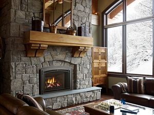 Liberty® LRI6E Gas Insert — photo 4