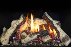 Madrona Gas Stove — photo 5