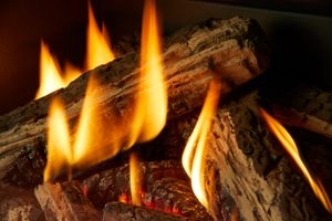 Atmosphere® Gi29LE Gas Insert — photo 6