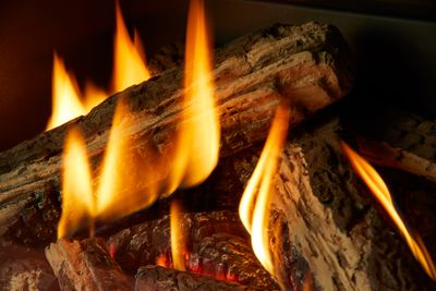 Atmosphere® Gi29LE Gas Insert — view 6