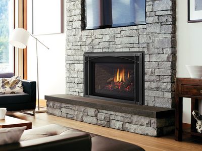 Liberty® LRI6E Gas Insert — view 2