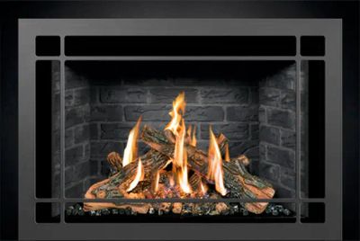 FV44i FireIn™ Gas Insert — view 3
