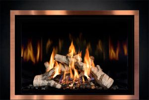 FV44i FireIn™ Gas Insert — photo 2