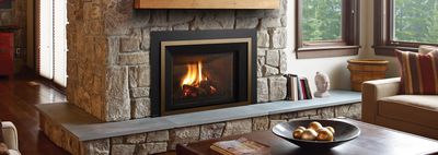 Liberty® LRI6E Gas Insert