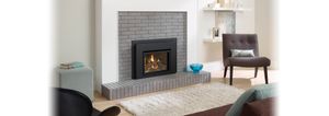 Liberty® L234 Gas Insert