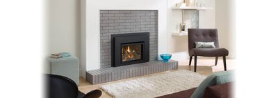 Liberty® L234 Gas Insert