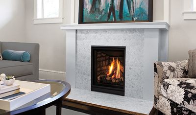 Enviro: Q1 Fireplace