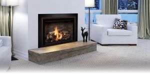 FV44i Traditional Gas Insert
