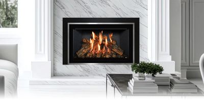 FV33i FireIn™ Gas Insert