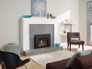 Liberty® L234 Gas Insert — photo 3