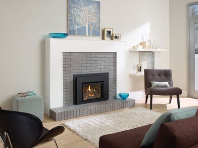 Liberty® L234 Gas Insert — view 3
