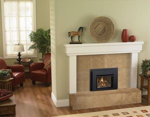 Liberty® L234 Gas Insert — photo 2