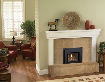 Liberty® L234 Gas Insert — view 2