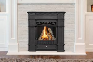 Portrait Gas Insert — photo 3